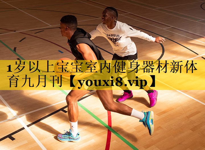 1岁以上宝宝室内健身器材新体育九月刊